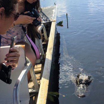 gator park - Visiting an alligator! - Boat Tours Near Me - Miami, Florida gator park - Visiting an alligator! - Boat Tours Near Me - Miami, Florida