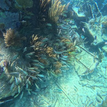 Biscayne National Park - Picture is from snorkeling trip of a sunken ship. - Landmarks & Historical Buildings Near Me - Homestead, Florida