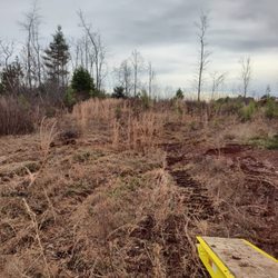 Stump And Munch Land Clearing