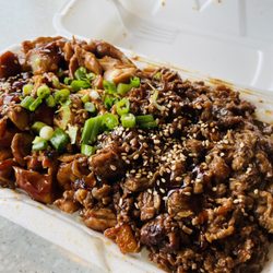 Golden Bowl - Chicken and Beef Teriyaki Bowl