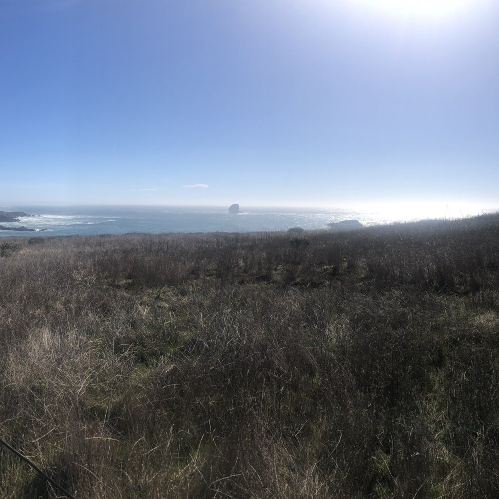 Boucher Trail - More tall grass and ocean. - Hiking Near Me Boucher Trail - More tall grass and ocean. - Hiking Near Me
