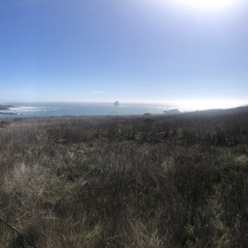 Boucher Trail - More tall grass and ocean. - Hiking Near Me