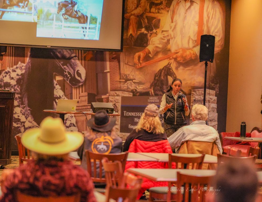 Charleston Equestrian - equestrian in Ravenel, SC