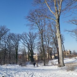 Griebnitzsee