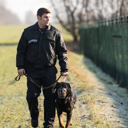 Deutscher Wach- und Schutzhund Service GmbH