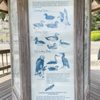 Regatta Grounds Park gift card