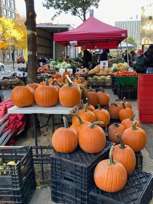 Phillips Farms Market by null