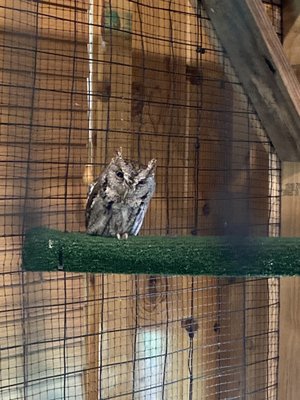 Meeman-Shelby Forest State Park by null