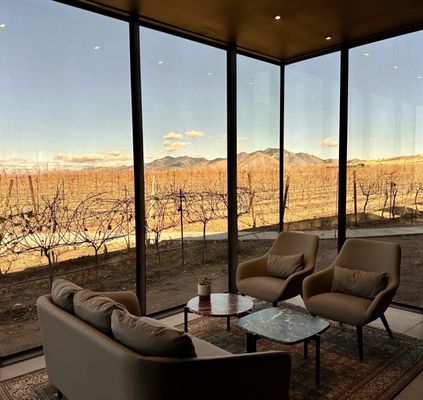 Los Milics Vineyards by null
