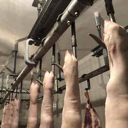 Gasthof Hepting - This is really Farm to Table! All on the premises!