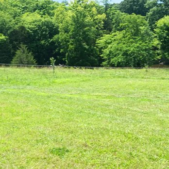 Circle T Lawn and Tree Services - Trees he wanted cut around - Lawn Services Near Me Circle T Lawn and Tree Services - Trees he wanted cut around - Lawn Services Near Me