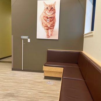 SAGE Veterinary Centers - Redwood City - Gorgeous facility - Veterinarians Near Me - Redwood City, California SAGE Veterinary Centers - Redwood City - Gorgeous facility - Veterinarians Near Me - Redwood City, California