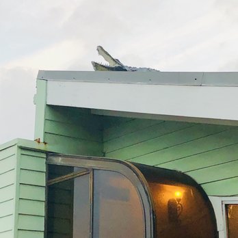 Aunt Catfish's - Lookey lookey what's on the roof - Southern Near Me - Port Orange, Florida Aunt Catfish's - Lookey lookey what's on the roof - Southern Near Me - Port Orange, Florida