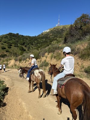 Sunset Ranch Hollywood by null