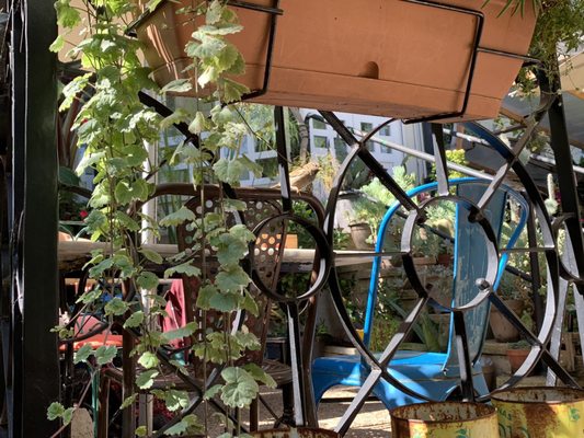Kafe Botanika by null