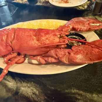 Fresh Catch - 2lb lobster - Seafood Near Me - Mansfield, Massachusetts