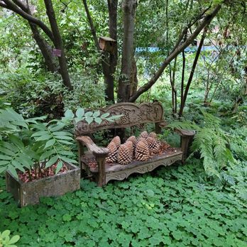 Kruckeberg Botanic Garden - Botanical Gardens Near Me - Shoreline, Washington