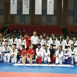 Professional Tae Kwon Do