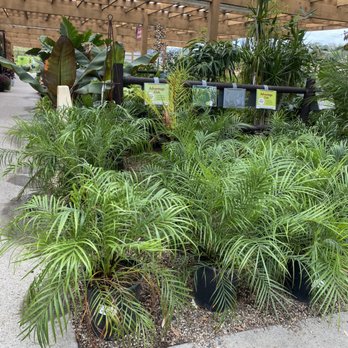 Armstrong Garden Centers - Nurseries & Gardening Near Me - San Diego, California Armstrong Garden Centers - Nurseries & Gardening Near Me - San Diego, California