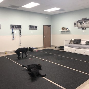 Best Buddies Pet Care - Big play area for the day care and boarding - Pet Sitting Near Me - Glendora, California Best Buddies Pet Care - Big play area for the day care and boarding - Pet Sitting Near Me - Glendora, California