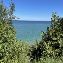 Peterson Park - View from upper park