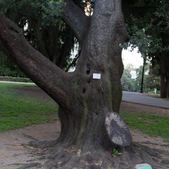 Capital Park Loop Trail - Hiking Near Me - Sacramento, California
