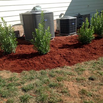 Arbol Tree Service - Tree Services Near Me