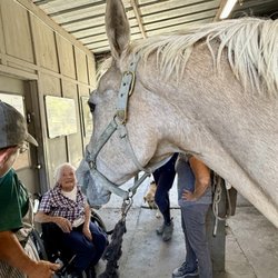 Seven Oaks Farm - Enjoying the company