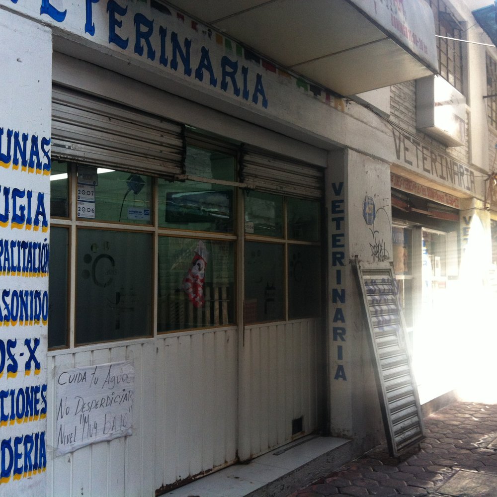 THE BEST 10 VETERINARIANS in ECATEPEC DE MORELOS, MÉXICO, MEXICO - Updated  2026 - Hours - Yelp