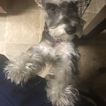 Pet Planet - Pet Stores Near Me - Phoenix, Arizona