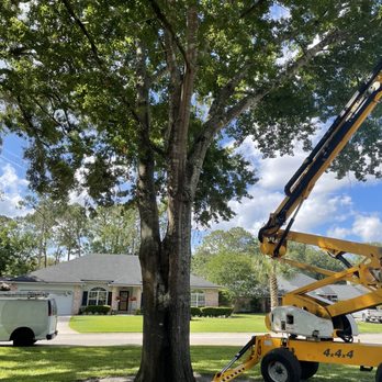 Black Creek Tree Co - Tree Services Near Me - Middleburg, Florida