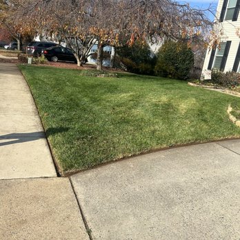 Luxscaping - Clean lawn services - Tree Services Near Me