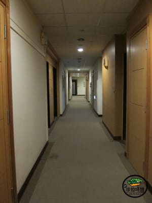 85 Sky Tower by null