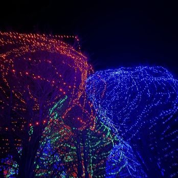 Rose Tree Park - Rose Tree Park -- Festival of Lights 2025 - Parks Near Me - Media, Pennsylvania Rose Tree Park - Rose Tree Park -- Festival of Lights 2025 - Parks Near Me - Media, Pennsylvania
