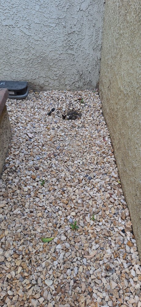 LunaBella Landscape Services - tree service in Los Angeles, CA