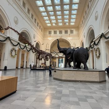 Field Museum - Museums Near Me - Chicago, Illinois