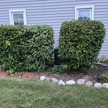 Lakeshore Landscaping - Bushes are different heights immediately after being trimmed! - Building Supplies Near Me - Clinton Township, Michigan Lakeshore Landscaping - Bushes are different heights immediately after being trimmed! - Building Supplies Near Me - Clinton Township, Michigan