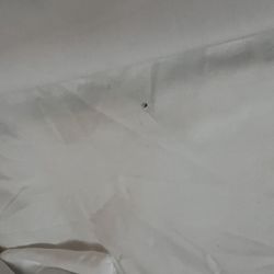 A bug on the matress