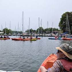 Capital SUP - Annapolis - Nautilus Point