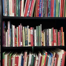 Books - Lots of Christmas stories!