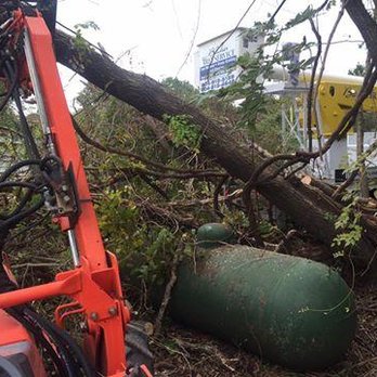 Belcher Tree Service - Tree Services Near Me