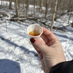Stratford Ecological Center - Fresh maple syrup!