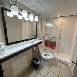 Bathroom without a sink Bathroom without a sink