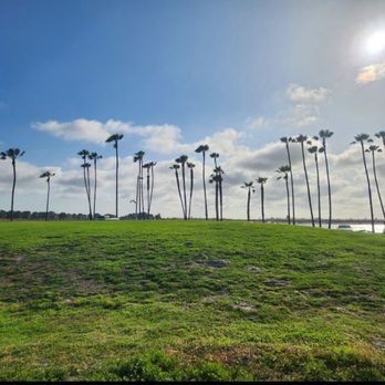 Playa Pacifica - Beautiful hills and trees - Parks Near Me - San Diego, California