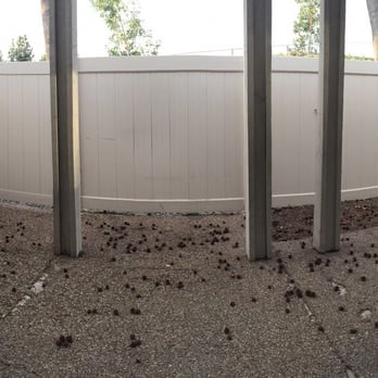 Genesis Stoneworks - Before - Masonry/Concrete Near Me - Moorpark, California