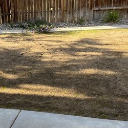 Elite Garden and Landscape - $3,500 later
