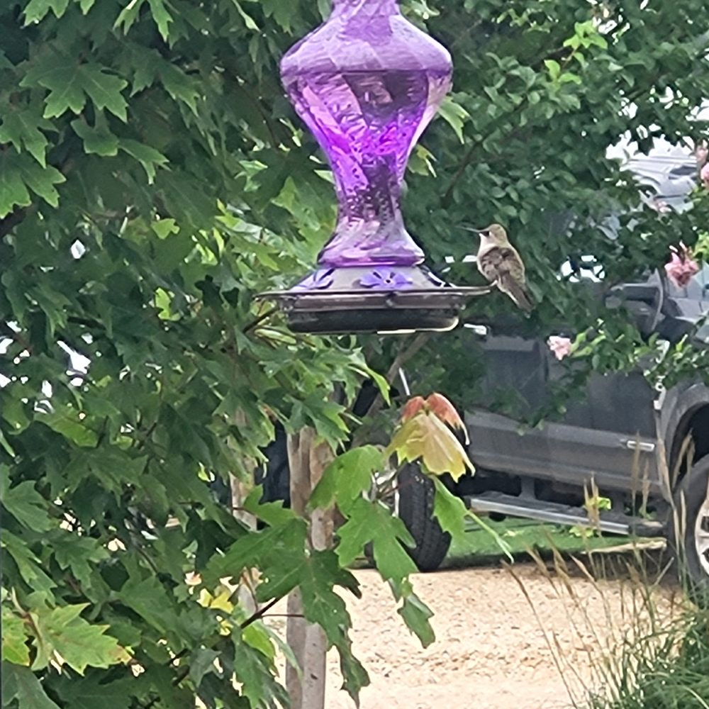 HD RV Ranch - Hummingbird - RV Parks Near Me - Florence, Texas HD RV Ranch - Hummingbird - RV Parks Near Me - Florence, Texas