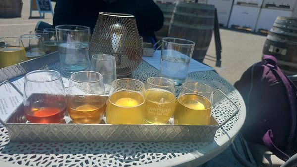 Tilted Shed Ciderworks by null