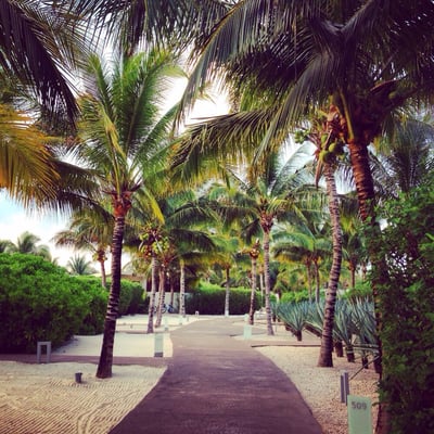 Rosewood Mayakoba by null