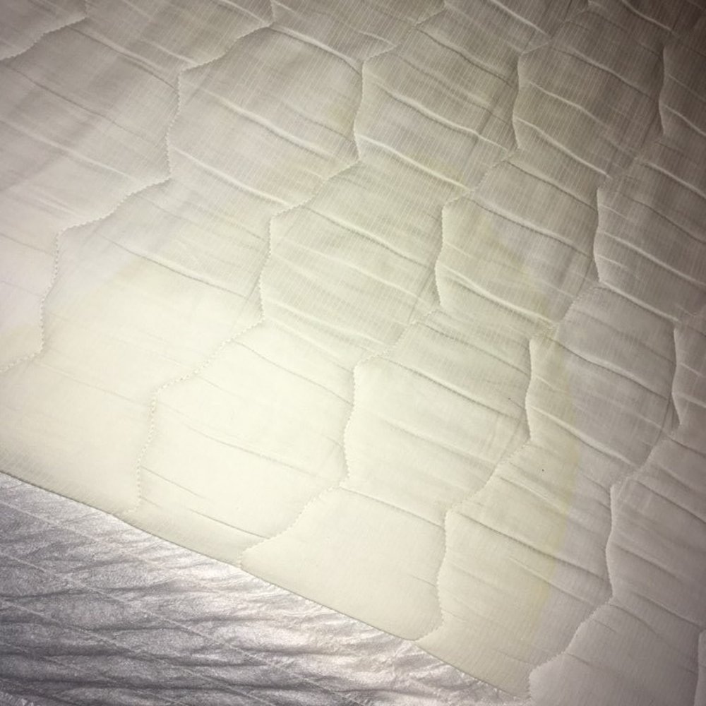 Bonne Terre - another piss stain - Hotels Near Me - Nesbit, Mississippi Bonne Terre - another piss stain - Hotels Near Me - Nesbit, Mississippi